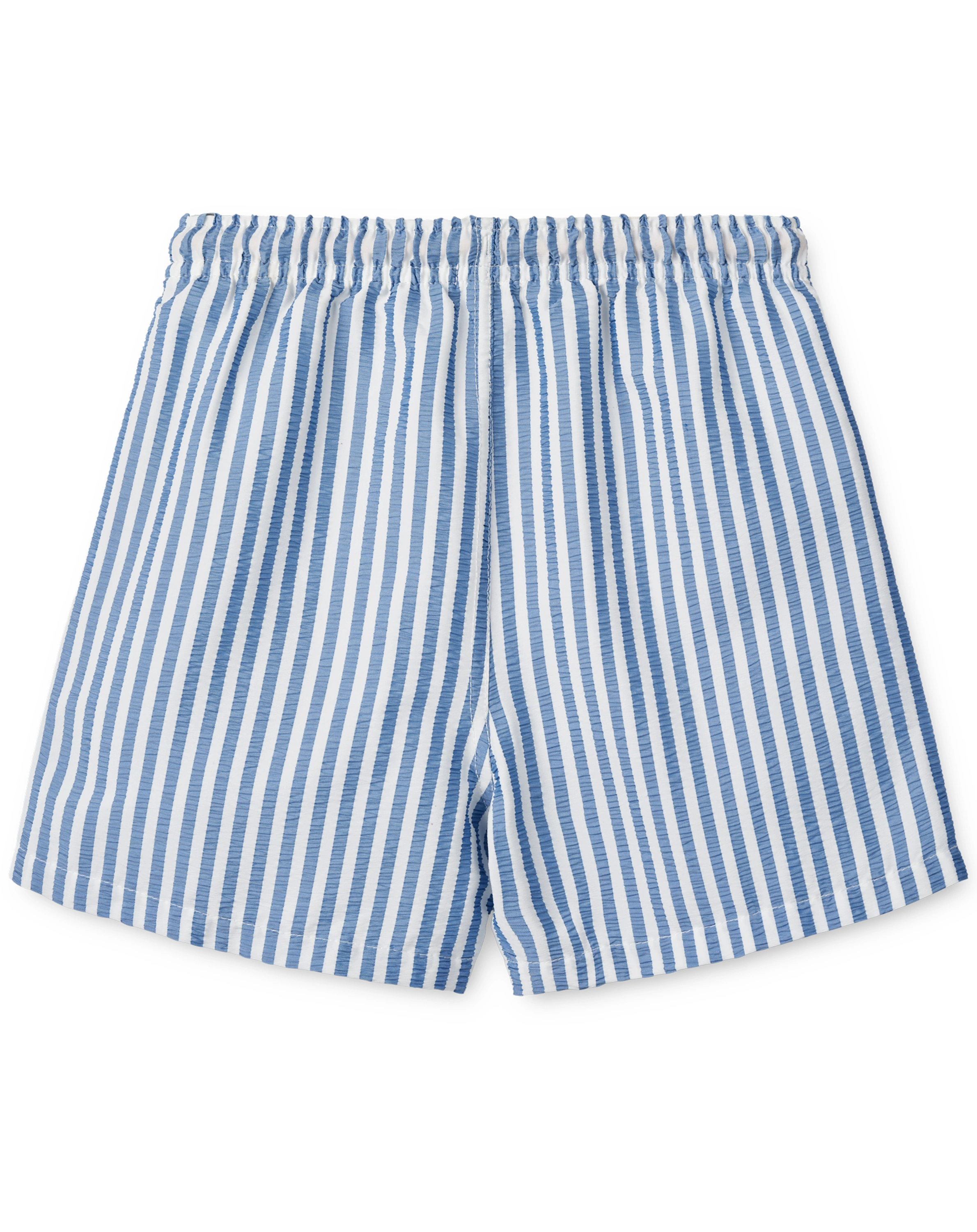 Board-Shorts DUKE gestreift in blau