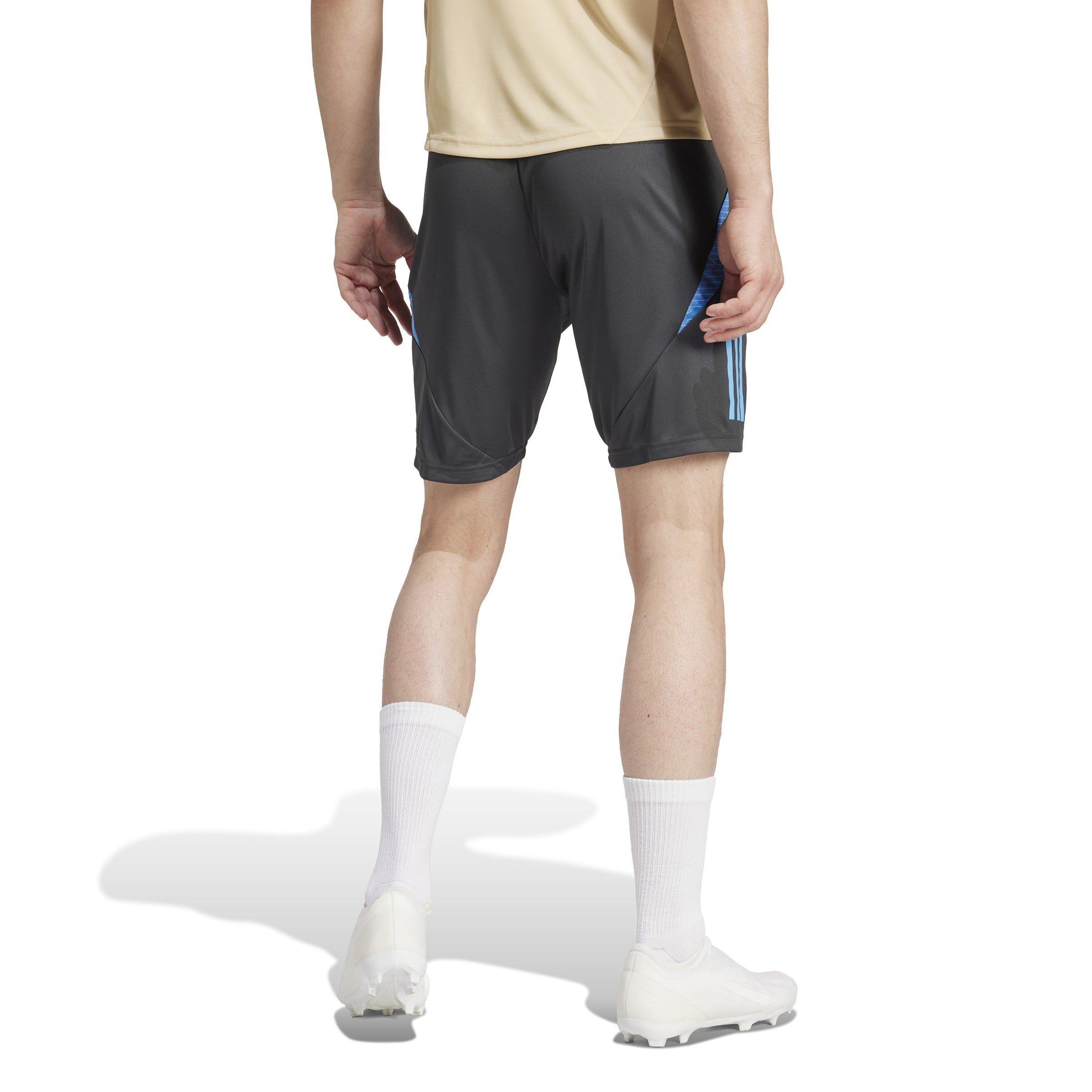 adidas Argentina Training Shorts 2024 2025 Adults