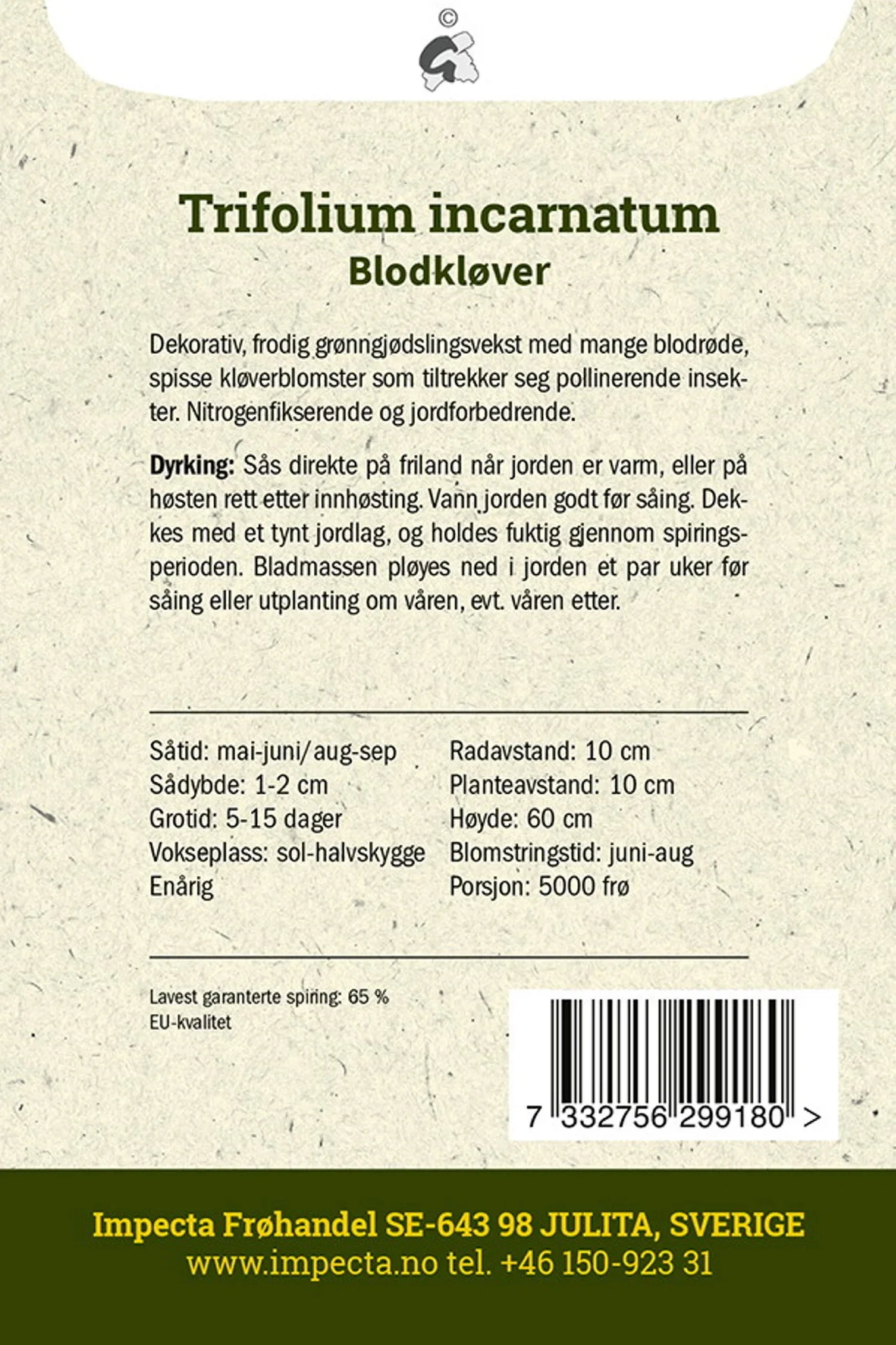 Trifolium incarnatum Blodkløver