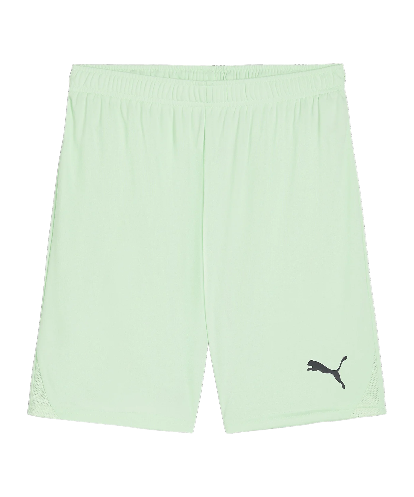 PUMA teamGOAL Short Grün Schwarz F60