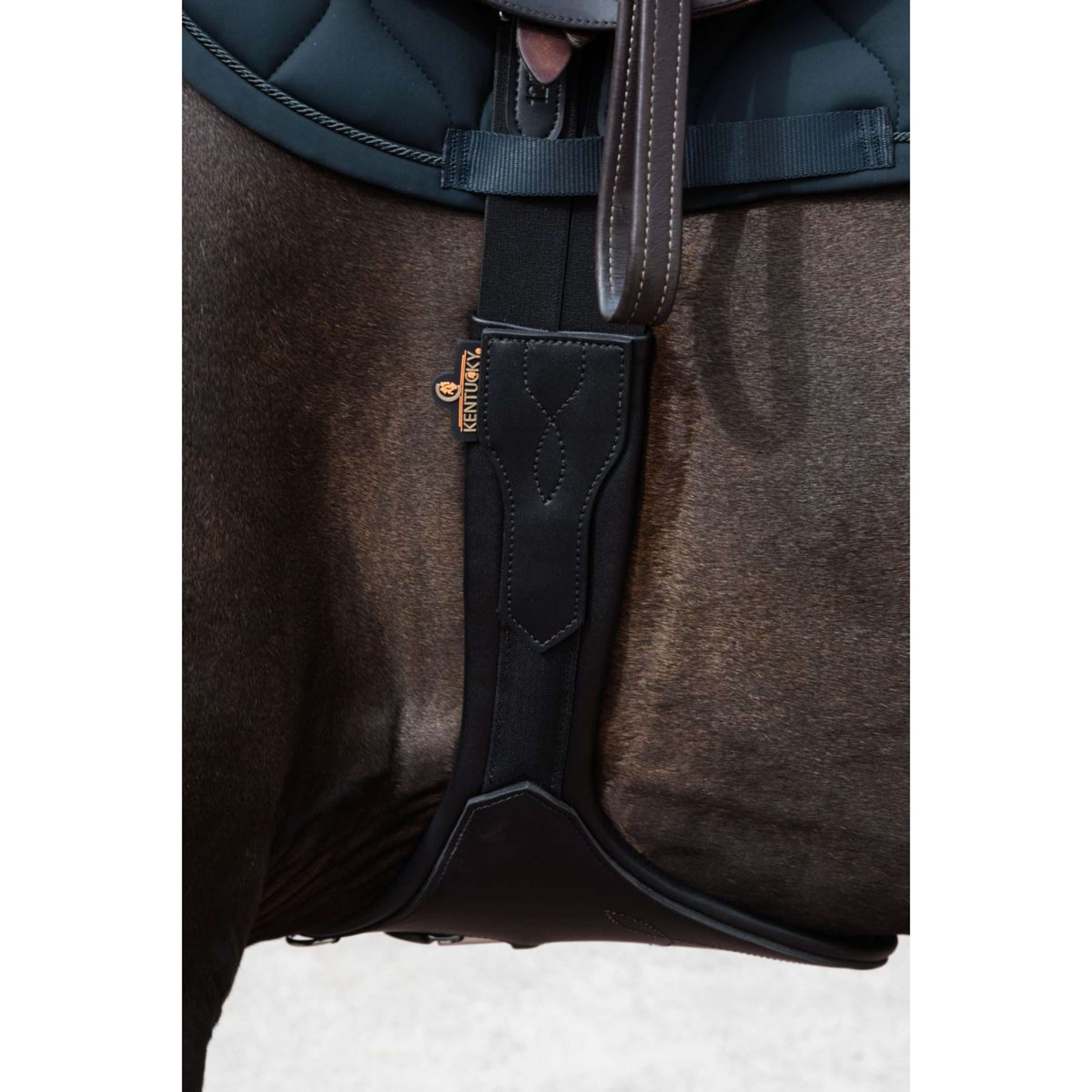 Kentucky Springsingel Buikflap Anatomic Zwart