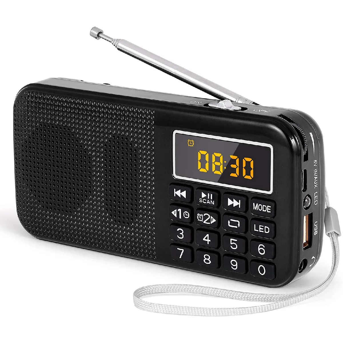 Prunus Radio Portable Noir