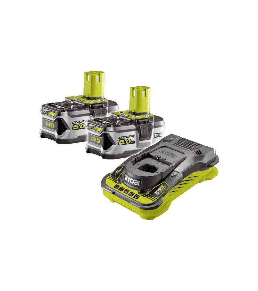 Pack 2 batteries 18v oneplus 5.0 ah lithiumplus - 1 chargeur ultra rapide 5.0 ah rc18150-250