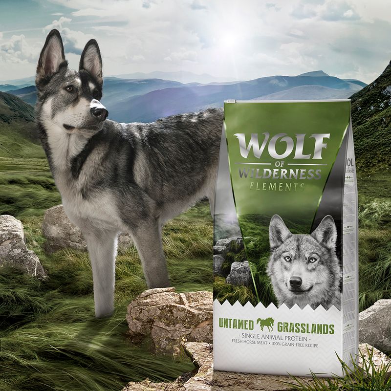 Wolf of Wilderness Elements Untamed Grasslands cheval - sans céréales