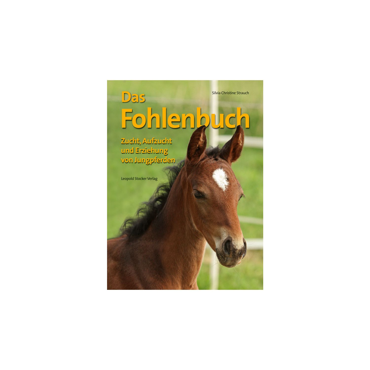 Das Fohlenbuch