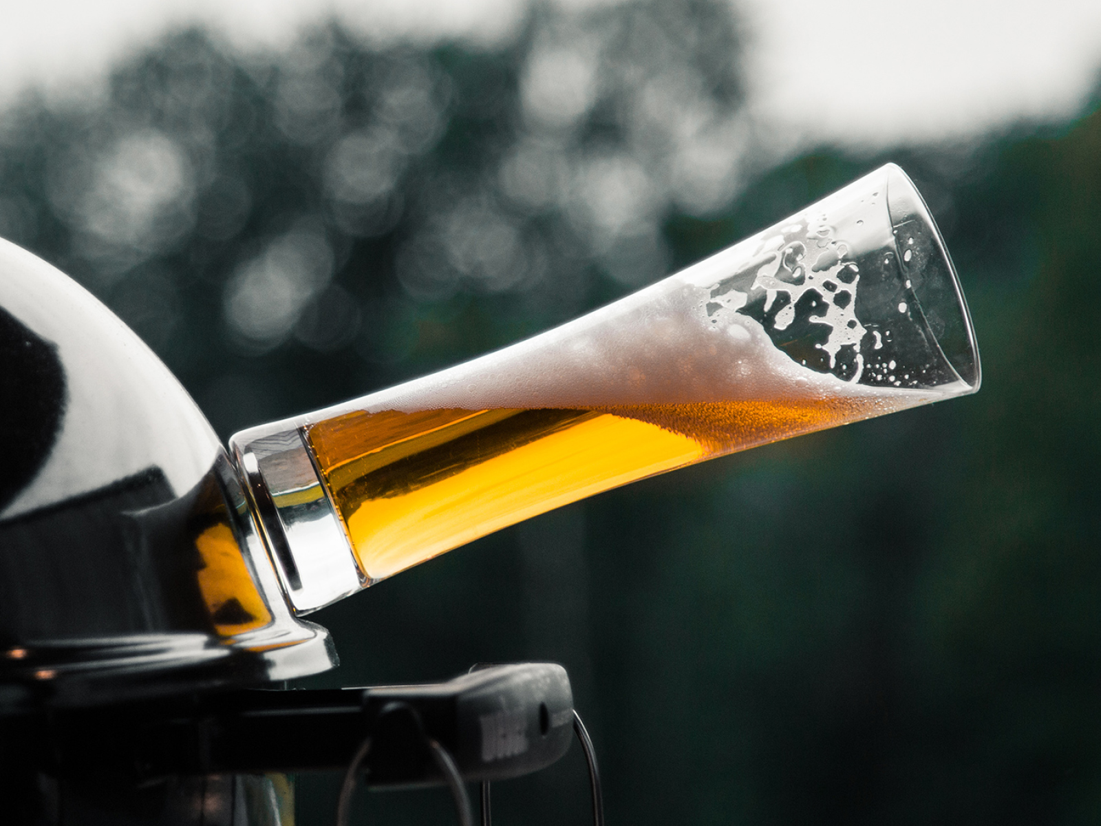 Silwy set van 2 magnetische kristallen bierglazen