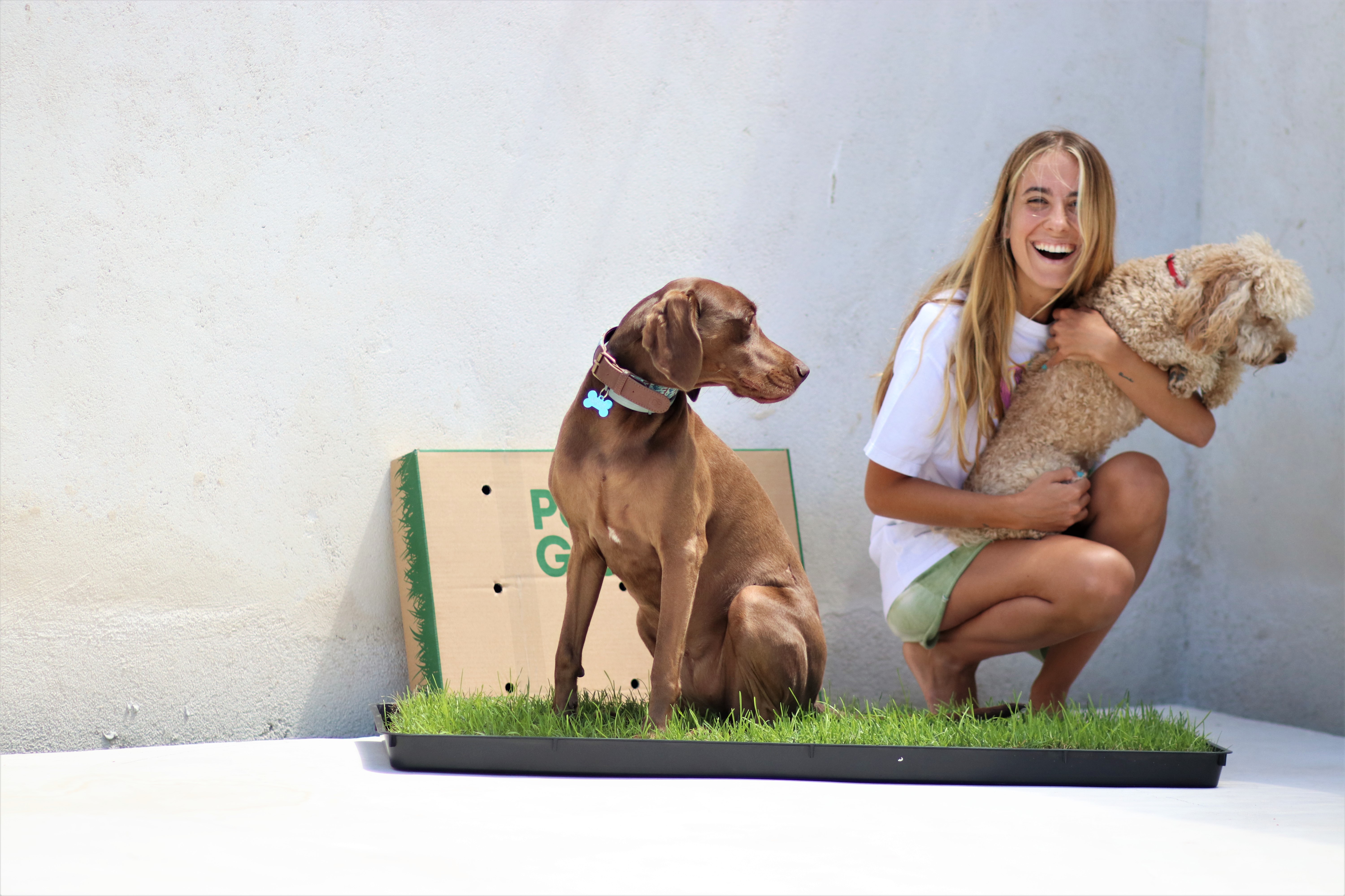 RECARGA DE GRAMA NATURAL PETGROUND XL/XXL