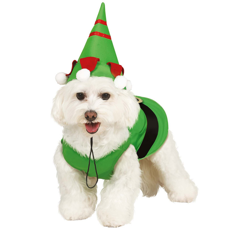 Fantasia de bebê elfo para cachorro