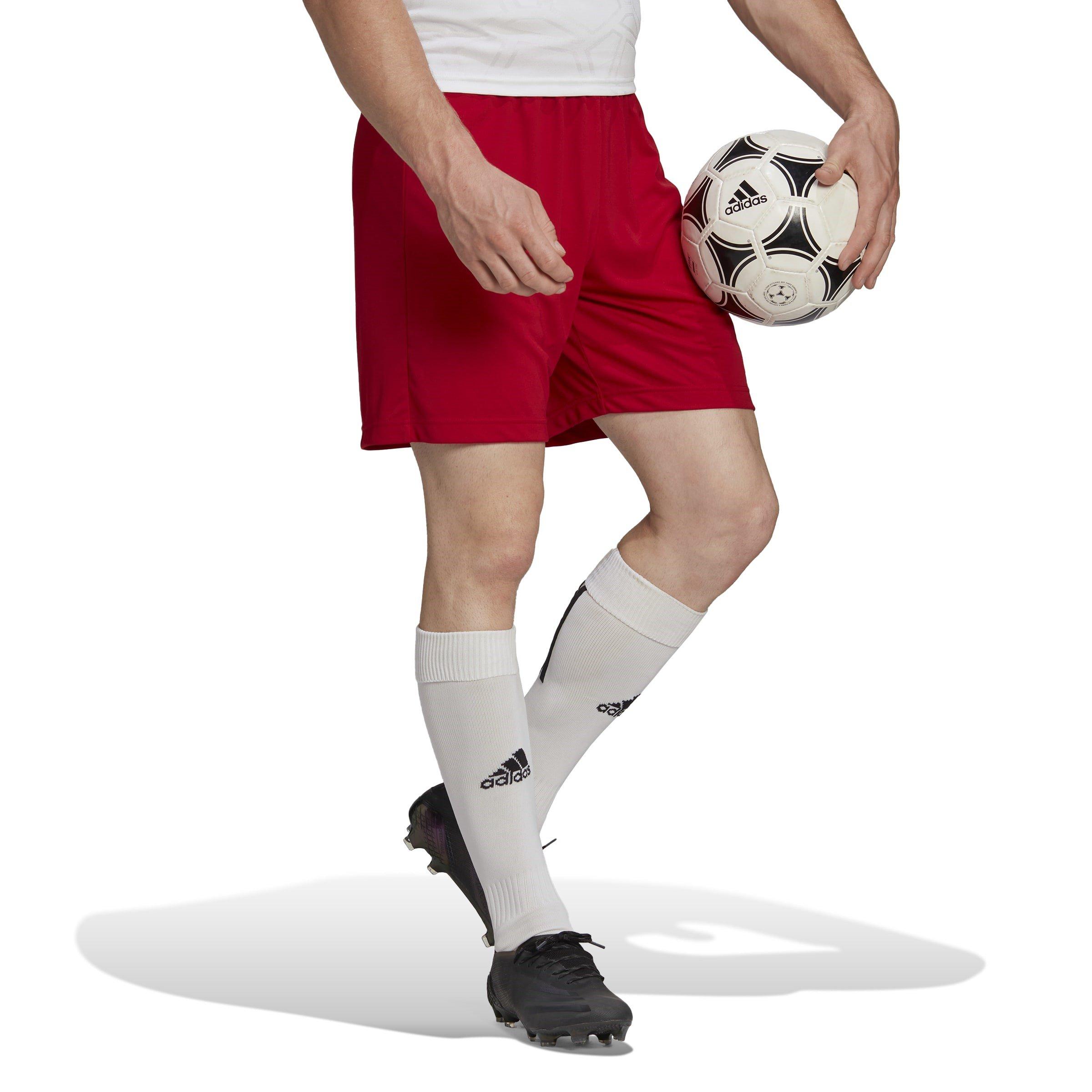 adidas Entrada 22 Shorts Mens