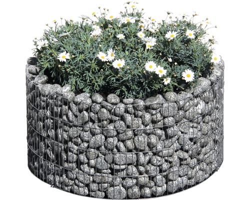 bellissa basic ronde verhoogde bak Ø 81 x 40 cm
