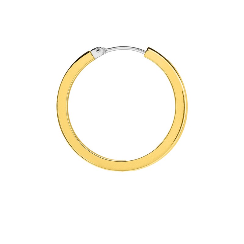 Créoles fantaisie Femme - Or 18 Carats - Diamètre 18mm