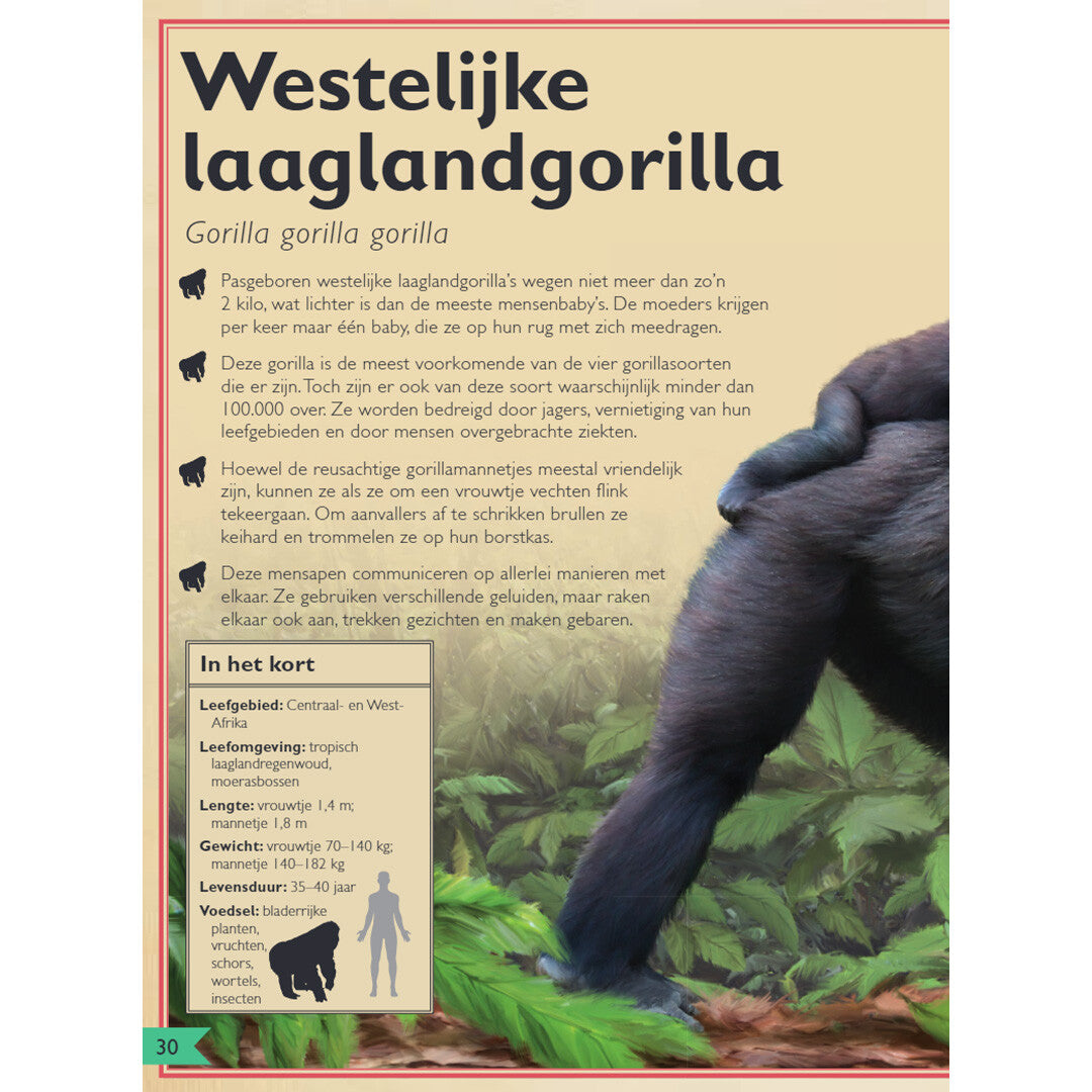 Gottmer het allermooiste boek over apen