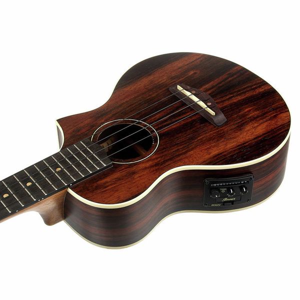 Ibanez UEW13MEE-DBO