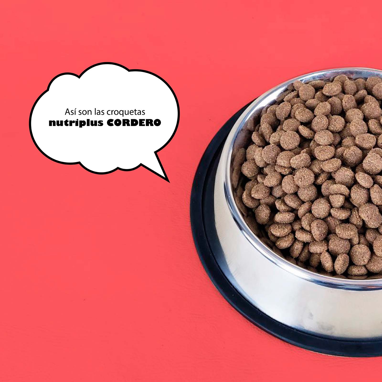 Ração para cães adultos com sabor de cordeiro