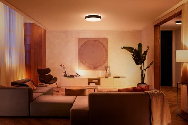 Philips Hue Enrave L loftlampe (sort)