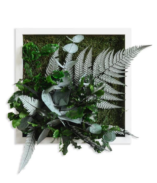 styleGREEN Bild im Dschungeldesign,