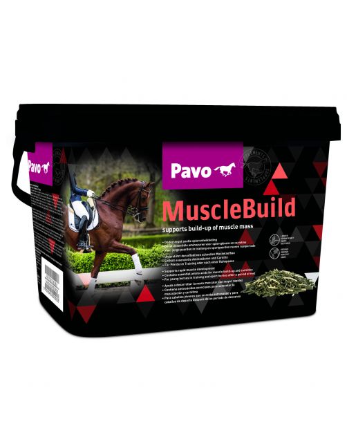 Pavo Musclebuild - Voedingssupplement - 3 kg