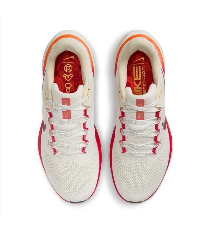 Nike Pegasus 41 HV5985 SAIL-IRONSTONE-SAIL-PICANTE-RE