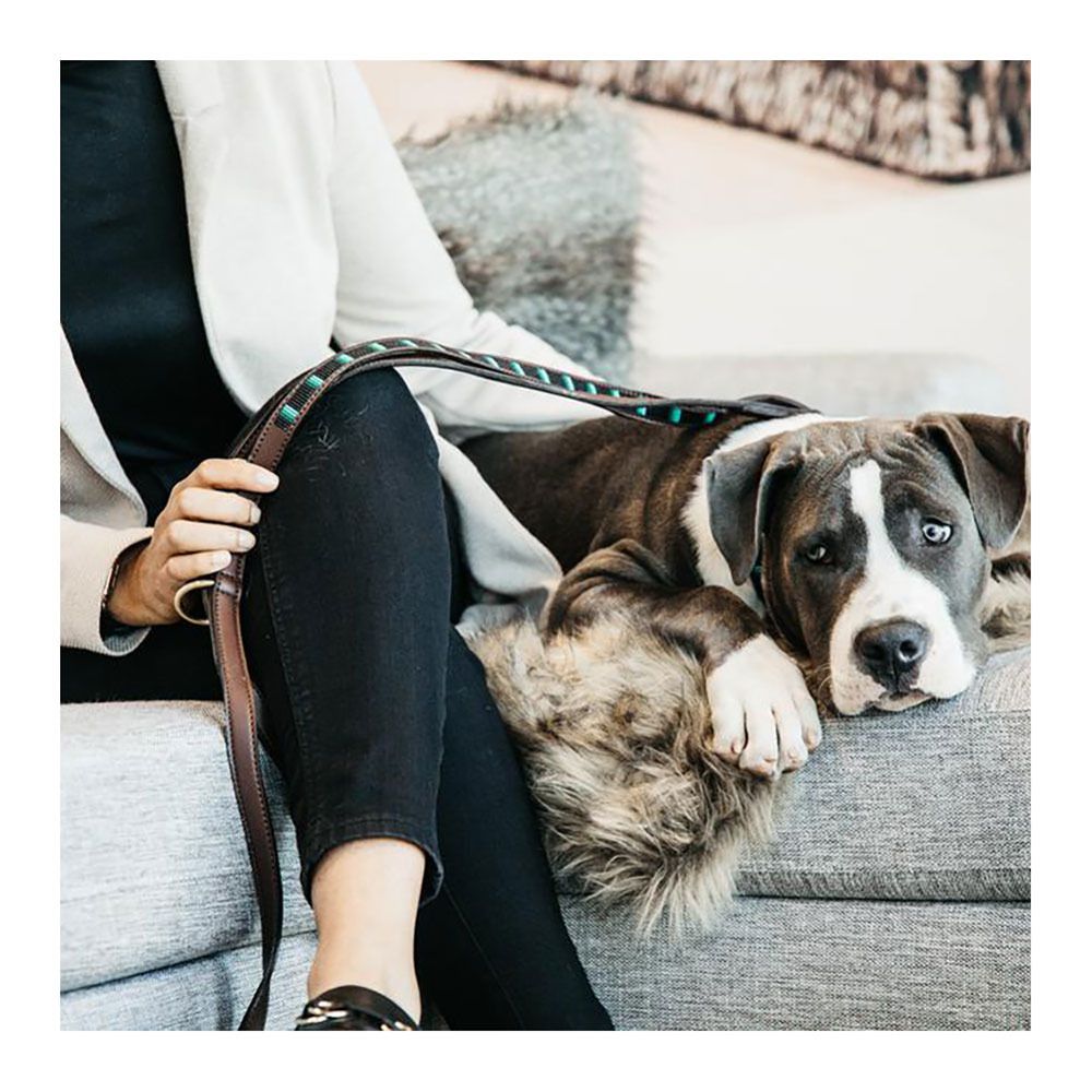Kentucky VELVET - Laisse pour chien noir
