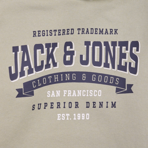 Jack & Jones - JJELOGO SWEAT HOOD 2 COL 24 SNJNR Verde