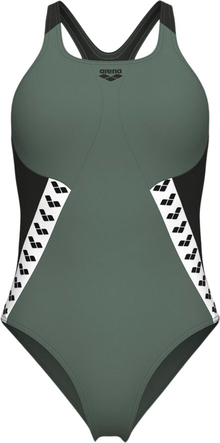 Arena Stripe Badedragt Grøn