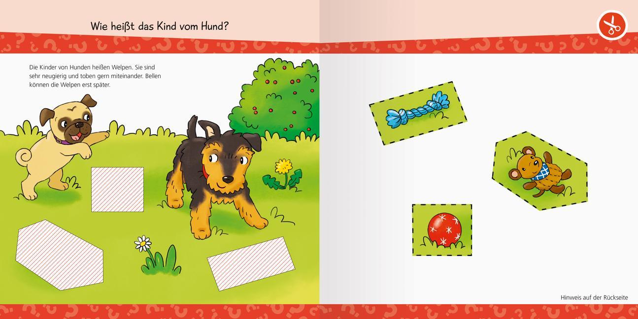 Wieso? Weshalb? Warum? junior AKTIV: Tierkinder
