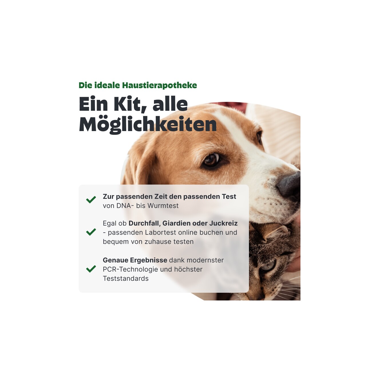 Pezz Life Labor Test Kit - All-in-One Gesundheitstest für zuhause
