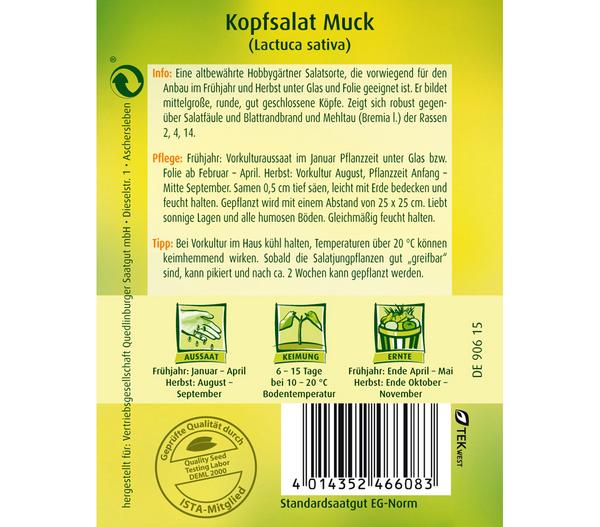 Quedlinburger Samen Kopfsalat 'Muck'