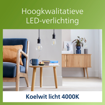 Philips greenlabel globe E27 4W 4000K