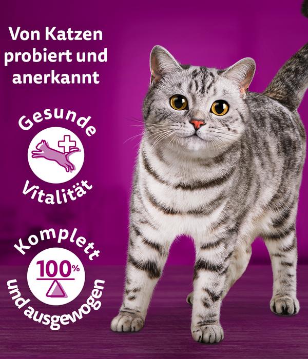 Whiskas® Nassfutter für Katzen Multipack