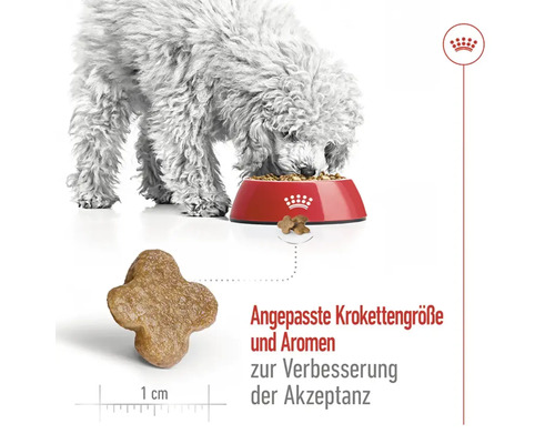 Droog hondenvoer, ROYAL CANIN Mini Mature 0,8 kg