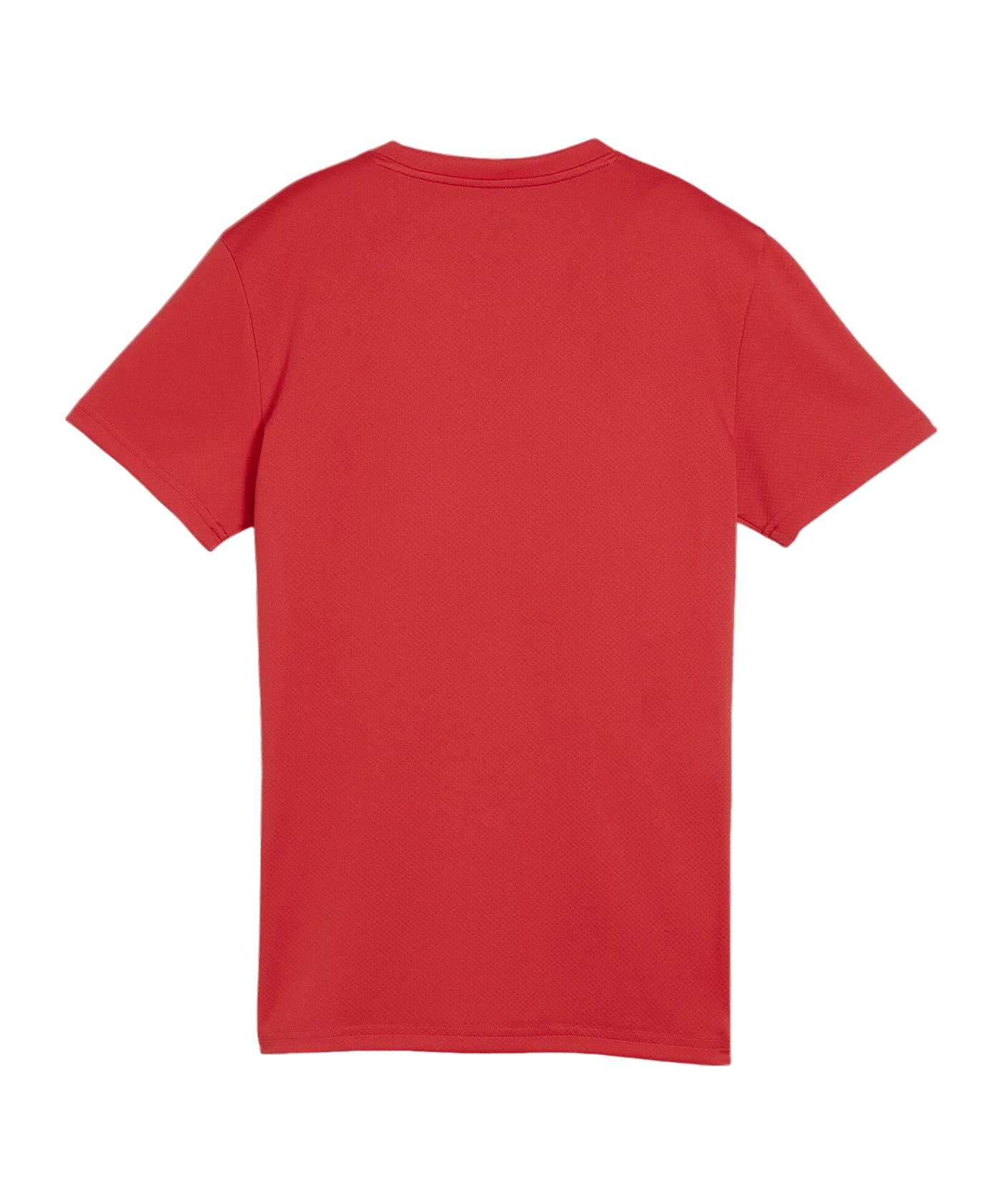PUMA teamGOAL Trikot Damen Rot F01
