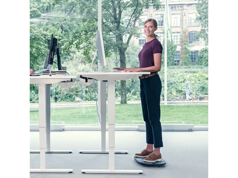 BackApp 360 balancebræt