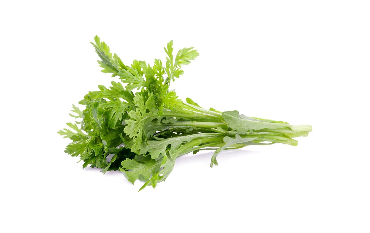 Samen Shungiku 3er-PackNachfüllpackung zum Smart Herb Garden