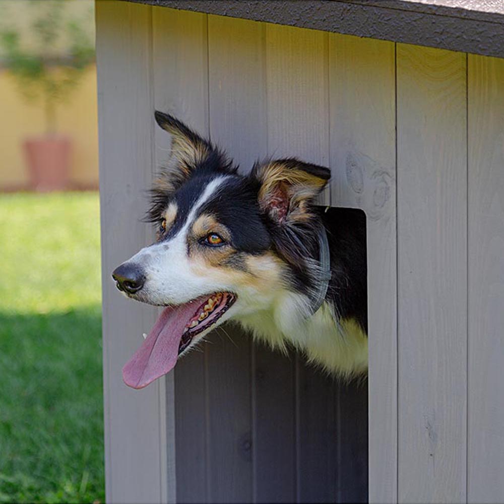 Niche pour extérieur, maison pour chiens argo 100 en bois fsc avec vernis atoxique, résistant aux u.v.