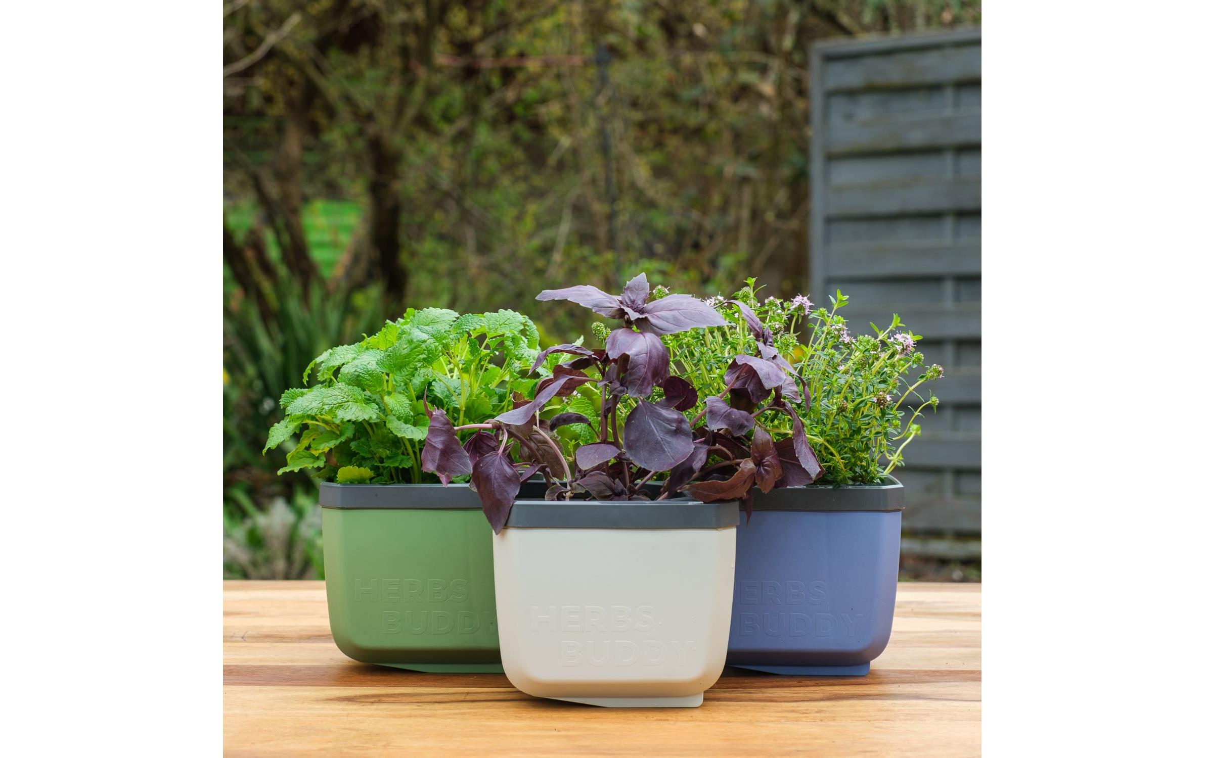 HERBS BUDDY Kräutertopf 3er Set TrecoloreKräutertopf mit Wasserreservoir und Kippfunktion