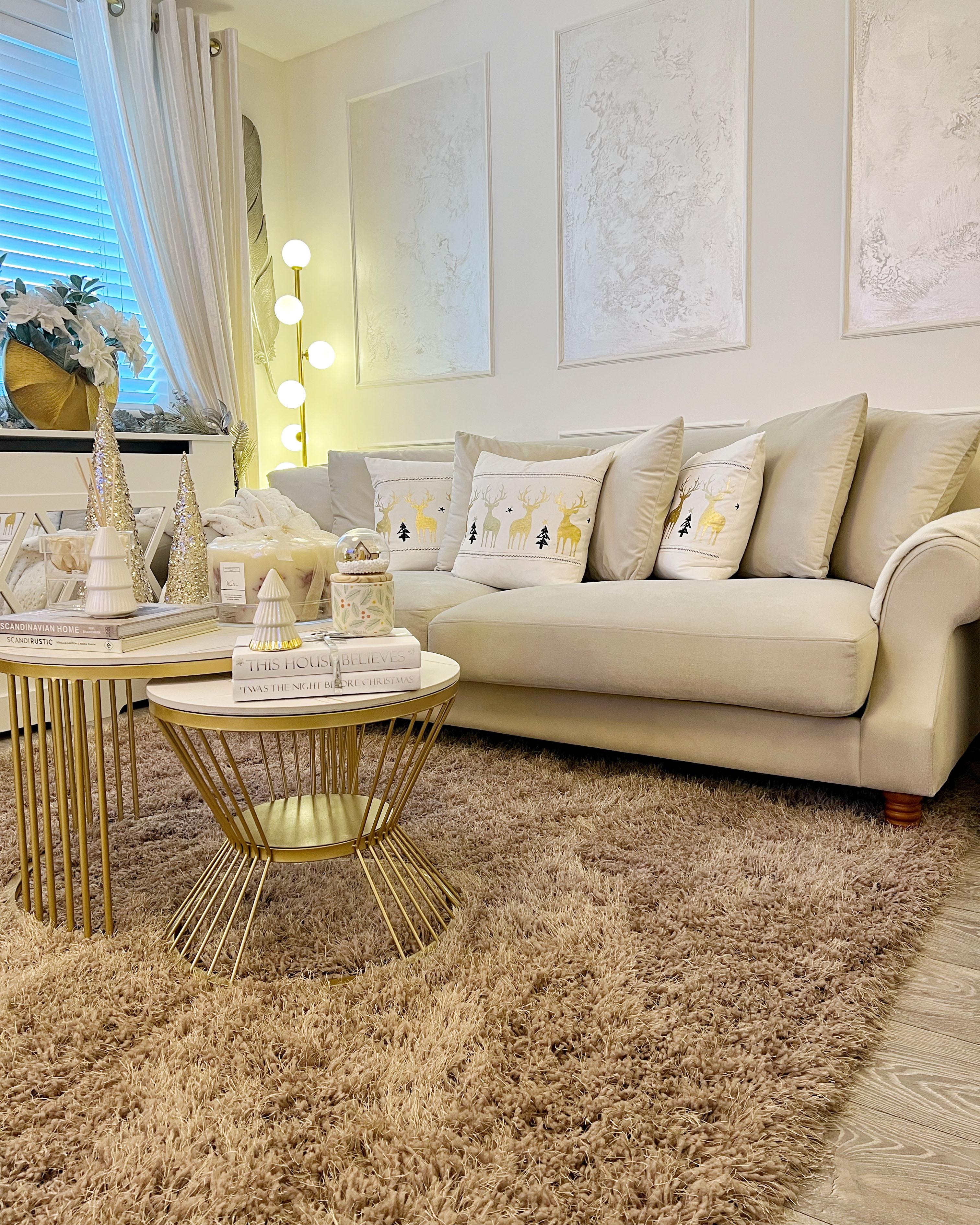 Hoogpoligvloerkleed CIDE Beige 200 x 300 cm