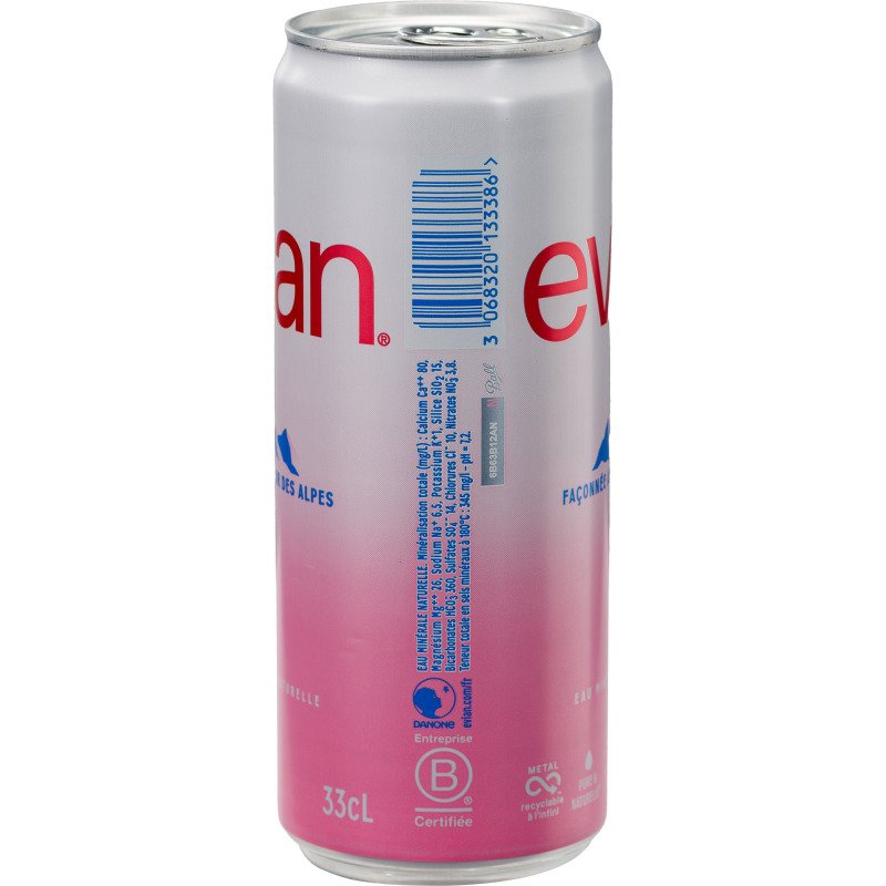 Eau minérale Evian 33 cl - 24 canettes
