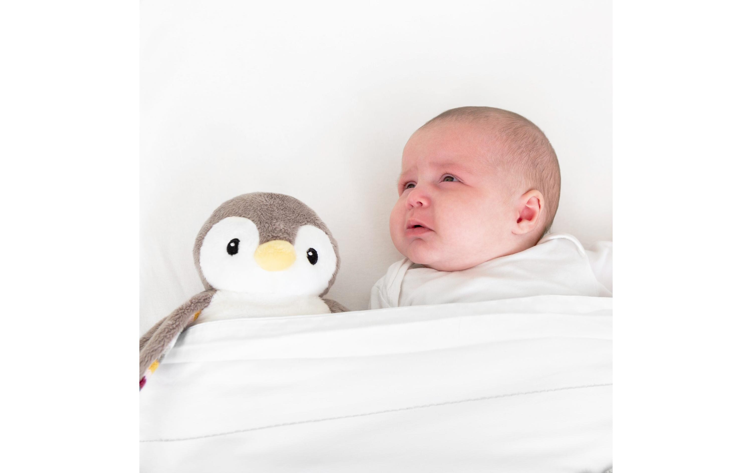 Einschlafhilfe Phoebe PinguinBabyschlafhilfe mit Sprachaufnahme und Nachtlicht