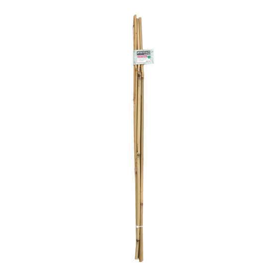 Lot de 7 tuteurs bambou Diam. 6/8 mm H 60 cm