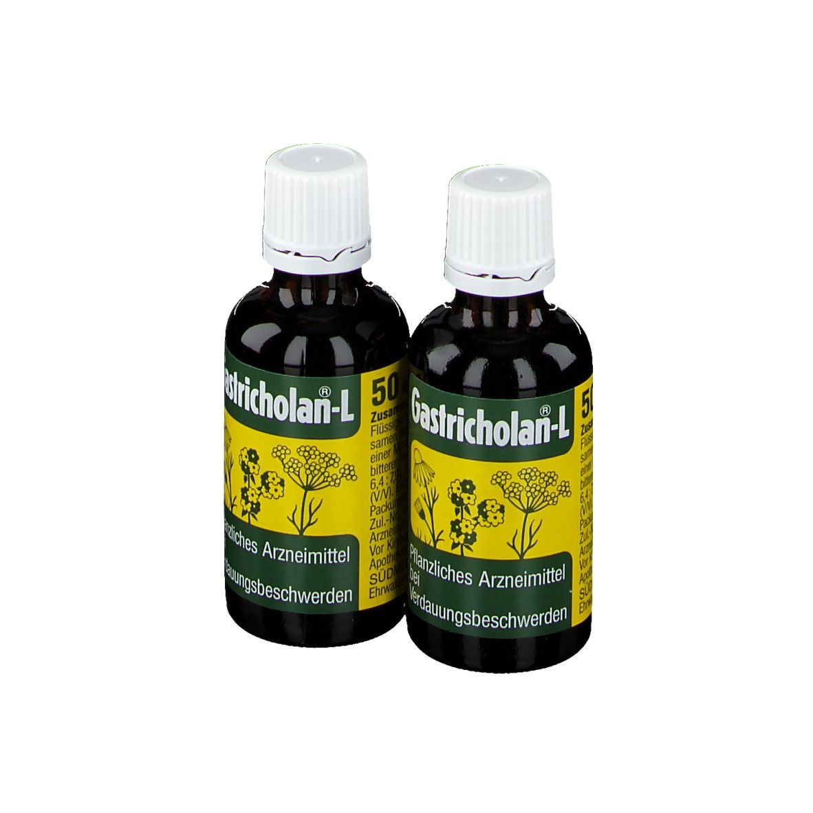 Gastricholan L flüssig