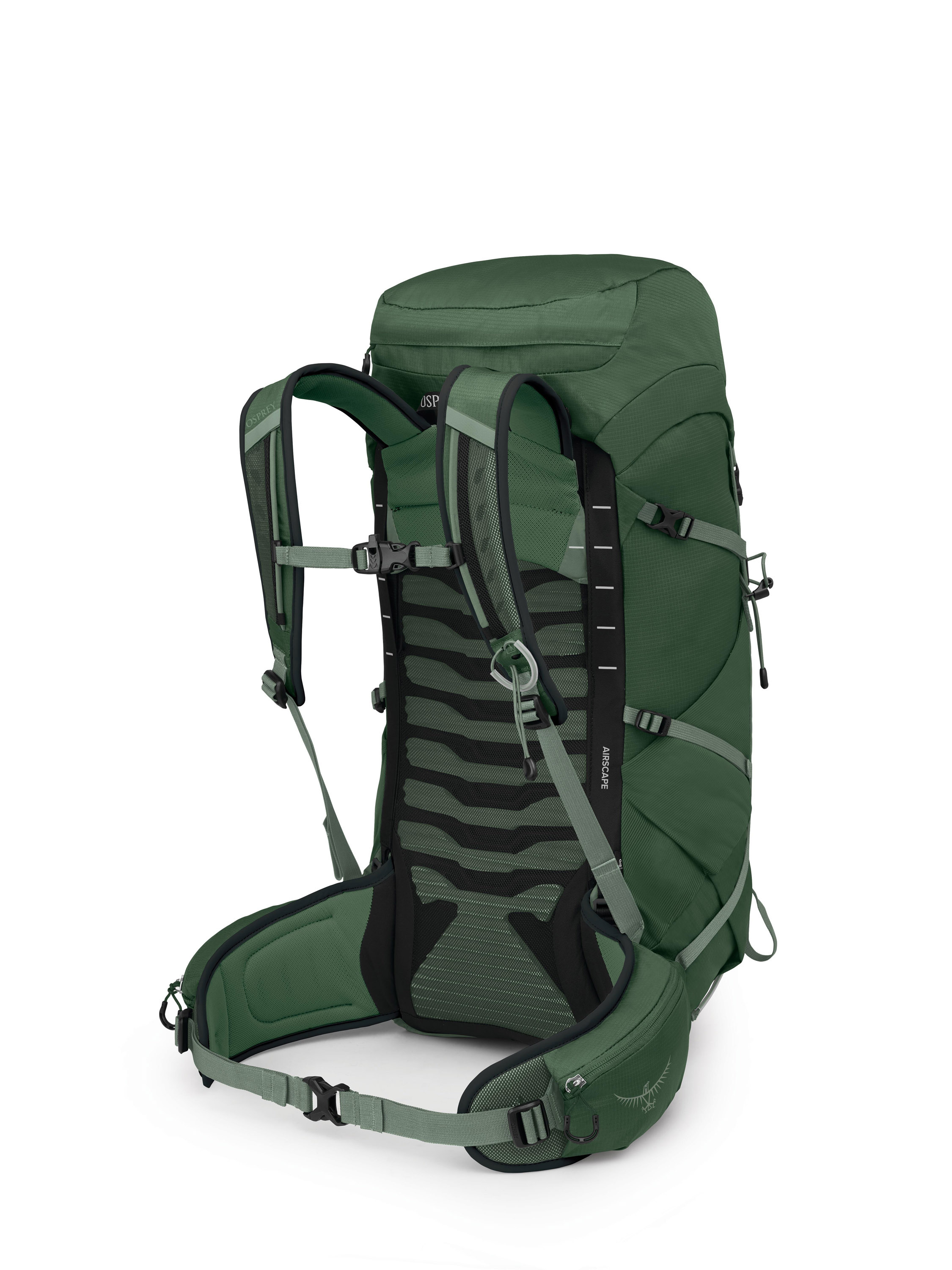Talon 33