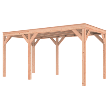 Overkapping Douglas 495x255cm a-symmetrisch
