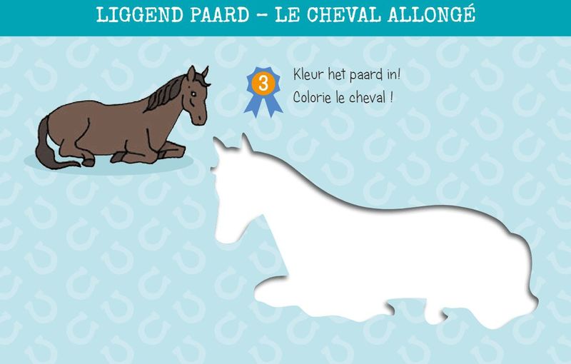 Zo Teken Je Paarden - 12 Sjabloonkaarten