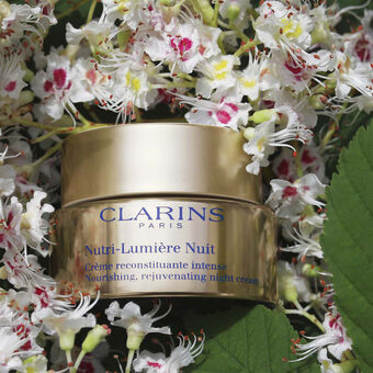Nutri-Lumière Nuit