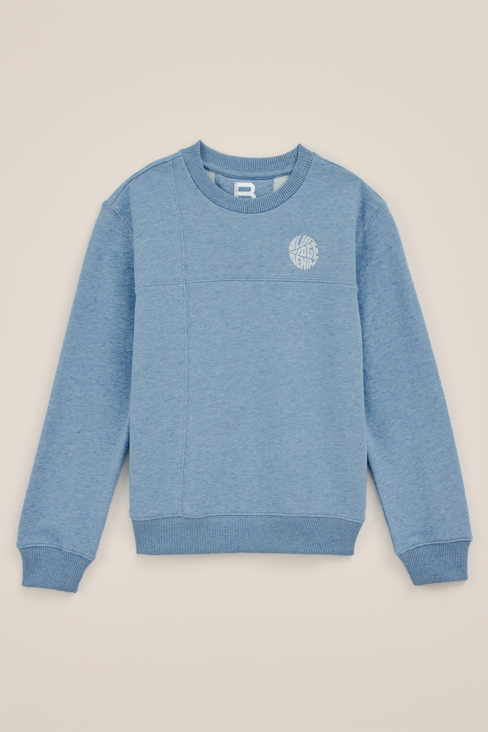 Jongen sweater met opdruk Blue Ridge Lichtblauw