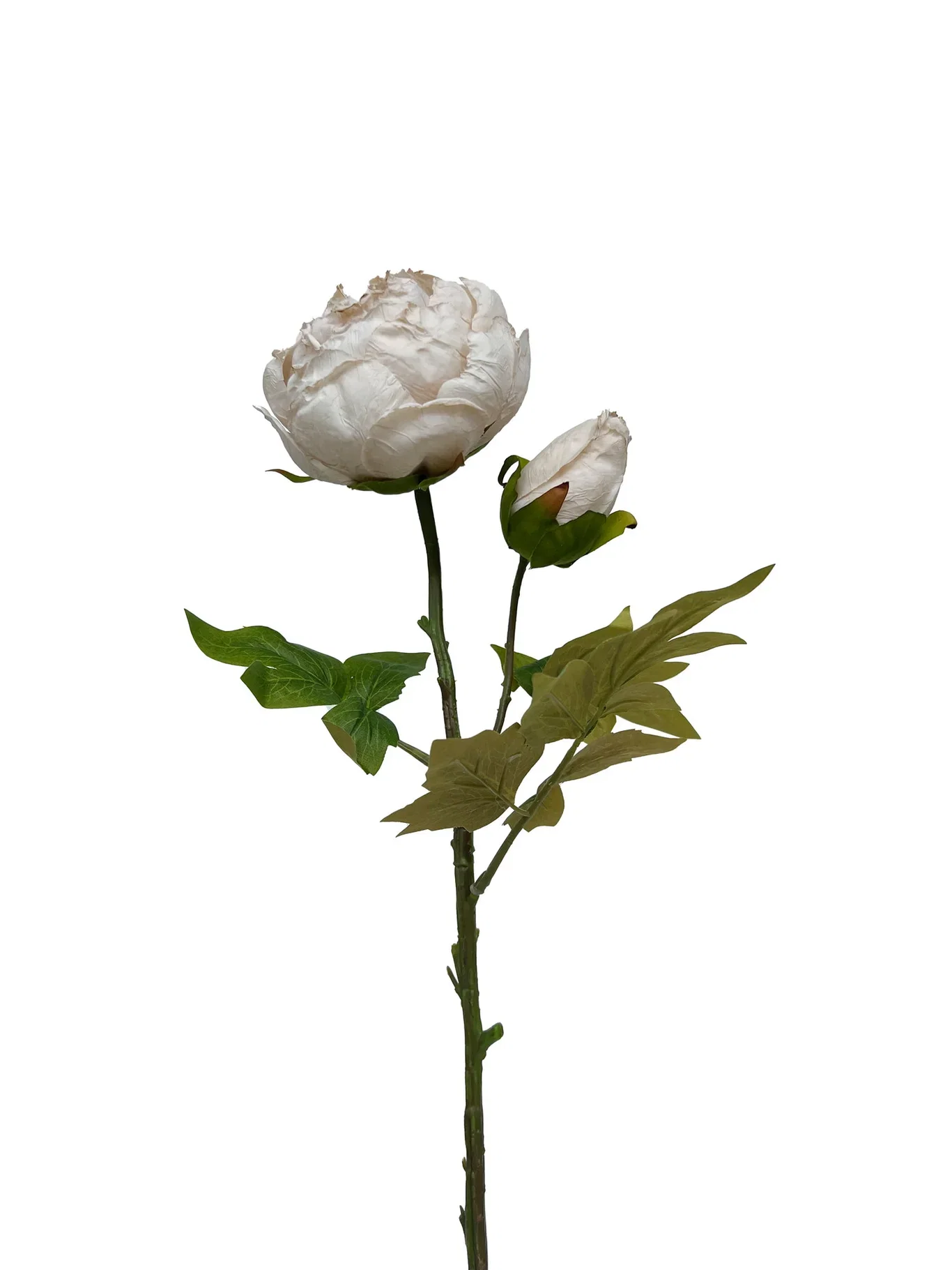 Pion snitt kunstig Høyde 62 cm