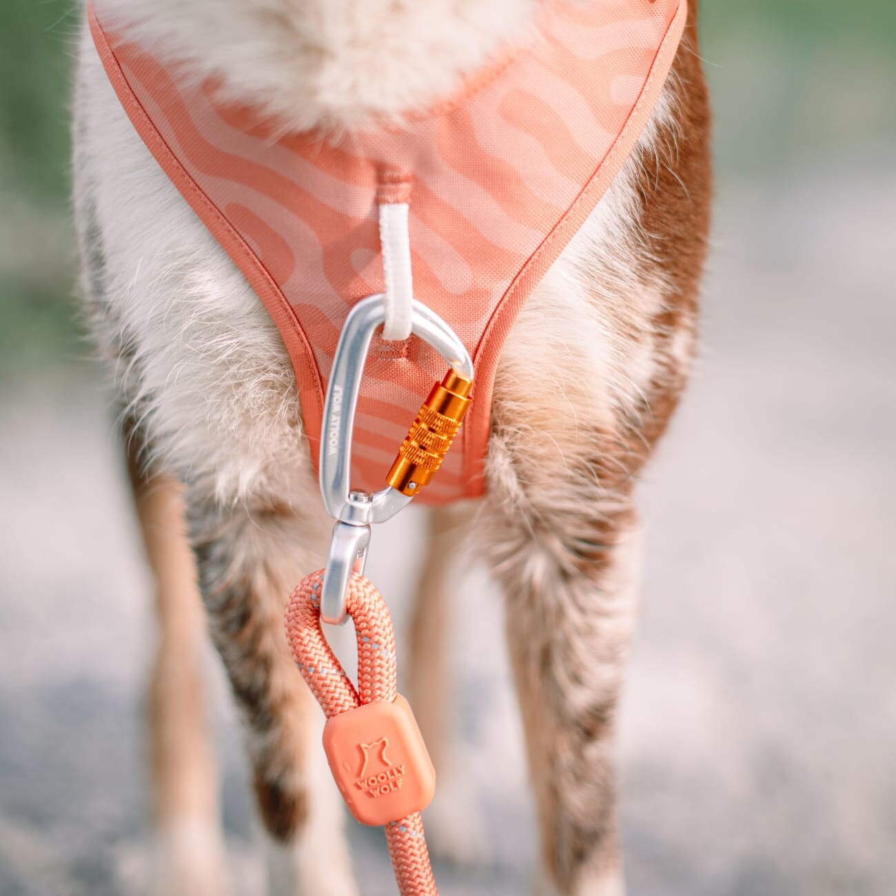 Woolly Wolf Führleine Rope