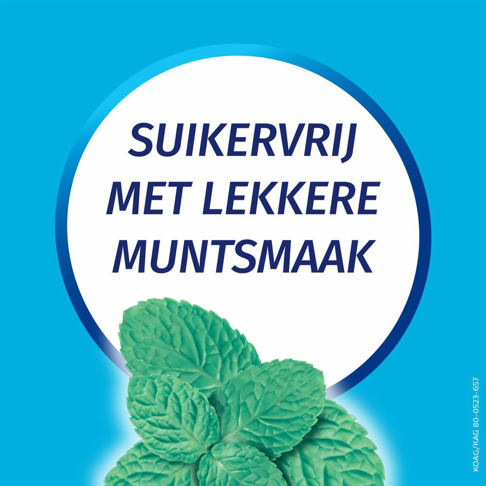 Rennie Kauwgom Calciumcarbonaat 750mg Suikervrij10 stuks
