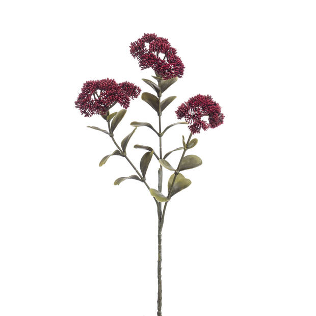 Blokker Kunstbloem Sedum - 56 cm - Burgundy